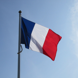 Picture of the France flag