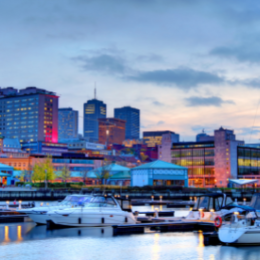 Picture of a waterfront city with boats docked in the harbor and tall buildings in the background
